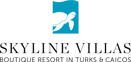 Skyline Villas Logo